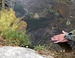 One of the many small pockets of bubbling water in the creek - hot water!