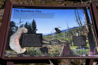 Interpretive sign on trial about the Rainbow Fire