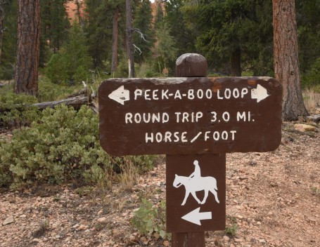 peekaboo-trail-sign