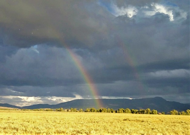 Rainbow over Antelope Flats